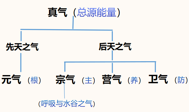 真气、内气等九类“气”的解释